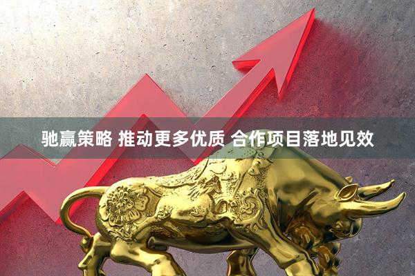 驰赢策略 推动更多优质 合作项目落地见效